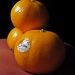 Orange by alia_801