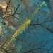 come diving with me - meet the ghost pipe fish by lbmcshutter