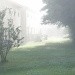 morning fog by mjmaven