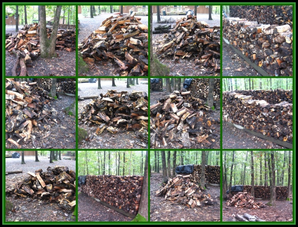 Woodpile Collage by olivetreeann