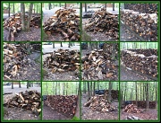 24th Sep 2011 - Woodpile Collage