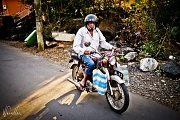 24th Sep 2011 - Mauritian motocyclist