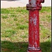Fire Hydrant by nicolecampbell
