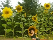 25th Sep 2011 - Sunflower Baby