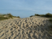 25th Sep 2011 - Walberswick Beach