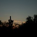 Sonoran Scenery by kerristephens