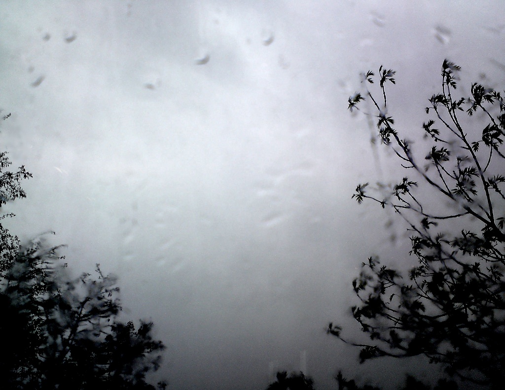 Rain by berend