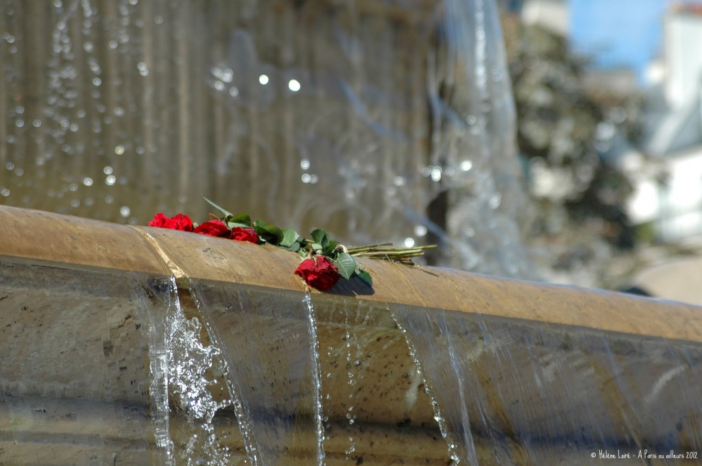Roses in the fountain by parisouailleurs
