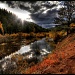 Beaver Pond by exposure4u