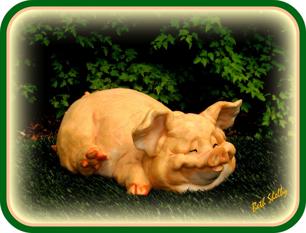 Happy as a Pig in the Sunshine by vernabeth