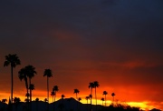 27th Sep 2011 - Sunset In Tucson