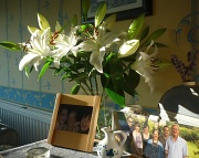 28th Sep 2011 - lilies from Alison