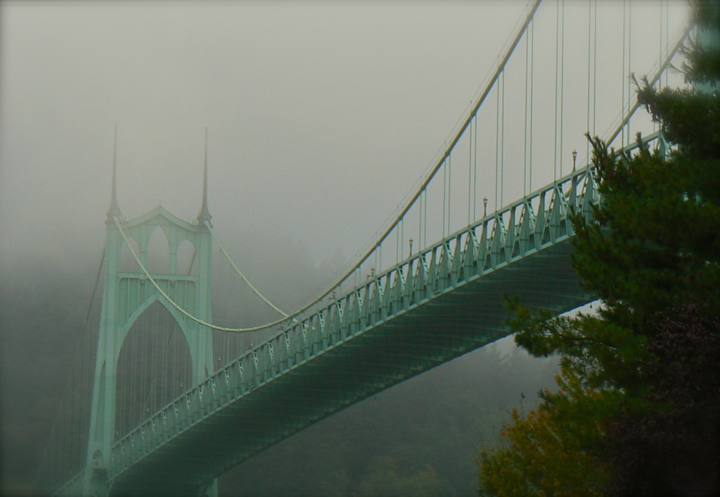i love fog - St. Johns Bridge - Portland, OR USA by reba