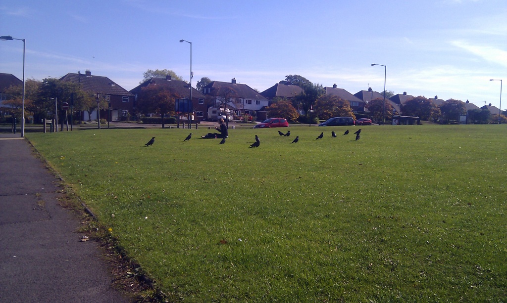 Picnic with the crows by phil_howcroft