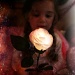 Magic Rose by melinareyes