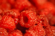 27th Sep 2011 - Raspberries
