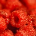 Raspberries by dakotakid35