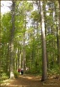 29th Sep 2011 - Hiking the Barron Canyon