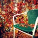 Leaves are falling by halkia