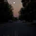 Evening Moonrise by fillingtime