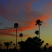 Tucson Sunset by kerristephens