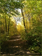 30th Sep 2011 - The Path to Eagle's Nest