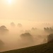 Autumn Mist by shepherdman