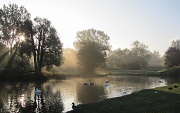 28th Sep 2011 - Foggy morning