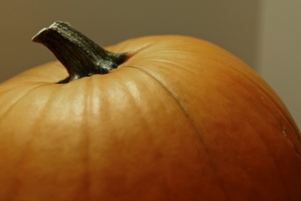 Pumpkin by laurentye