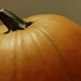 Pumpkin by laurentye