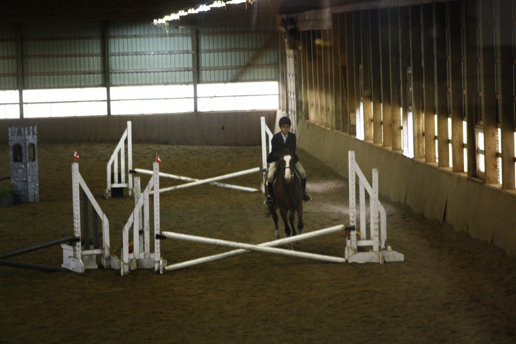 HUNTER JUMPER COMPETITION by bruni