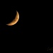 Crescent Moon by peggysirk