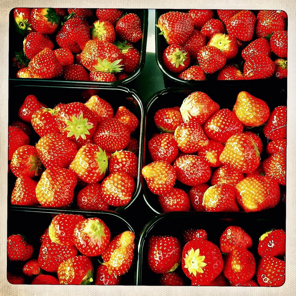 Strawbs by rich57