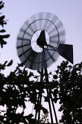3rd Oct 2011 - Texas windmill