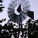 Texas windmill by ldedear