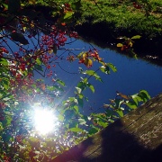 1st Oct 2011 - Sunshine on the water (2)