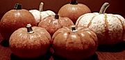 4th Oct 2011 - Pumpkins