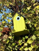 3rd Oct 2011 - One of my five bird boxes - All Empty