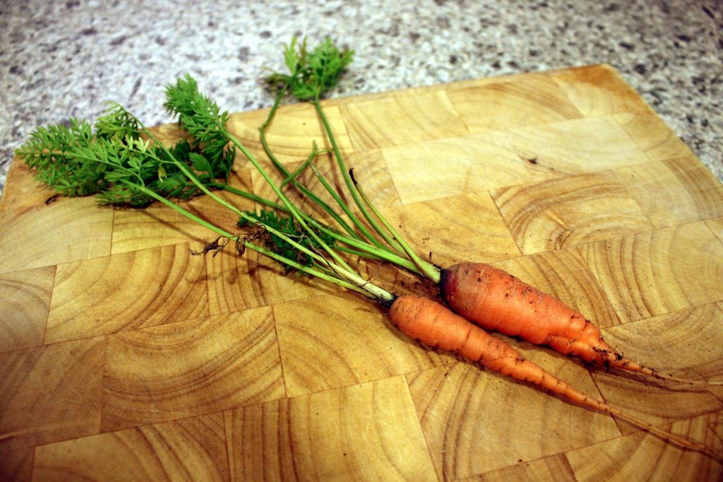 Home Grown Carrots by natsnell