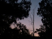 6th Oct 2011 - Lonely Sunrise