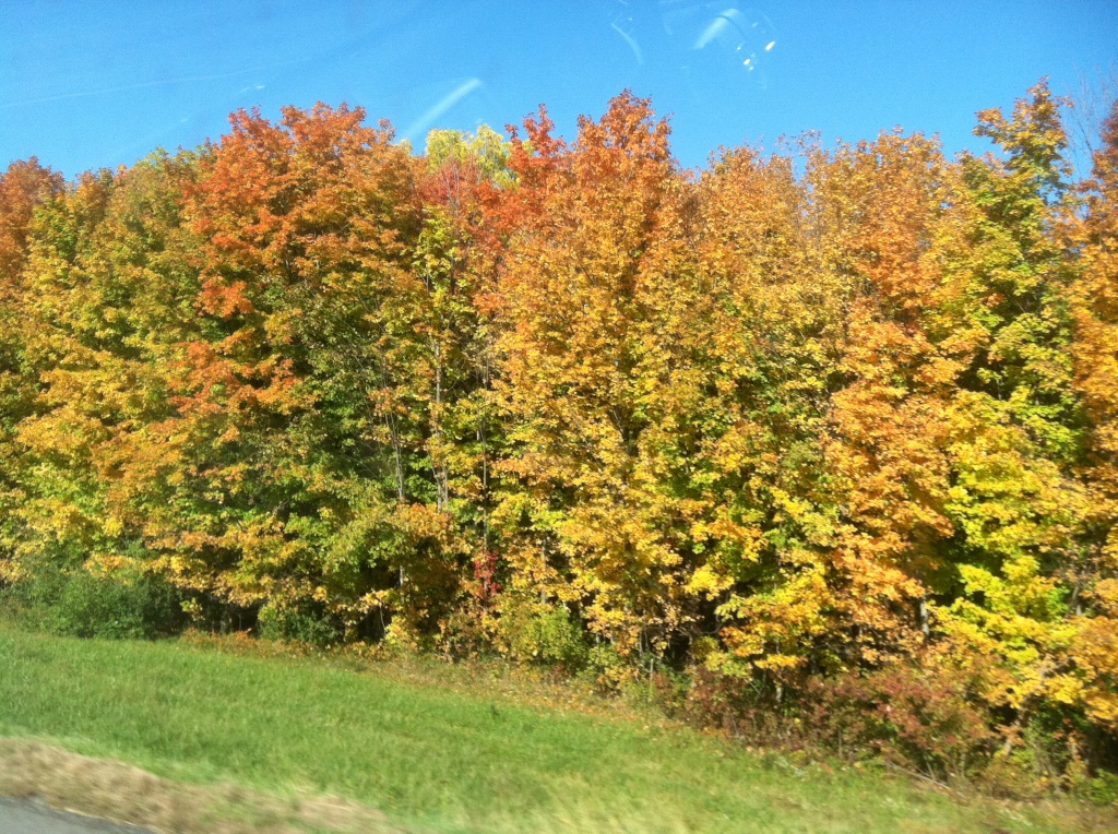 Beautiful Fall Colors by graceratliff