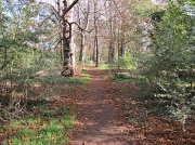 5th Oct 2011 - Autumn walk