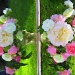 Roses sesoR by filsie65