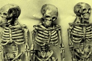 6th Oct 2011 - Skeletons