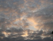 7th Oct 2011 - soft evening sky