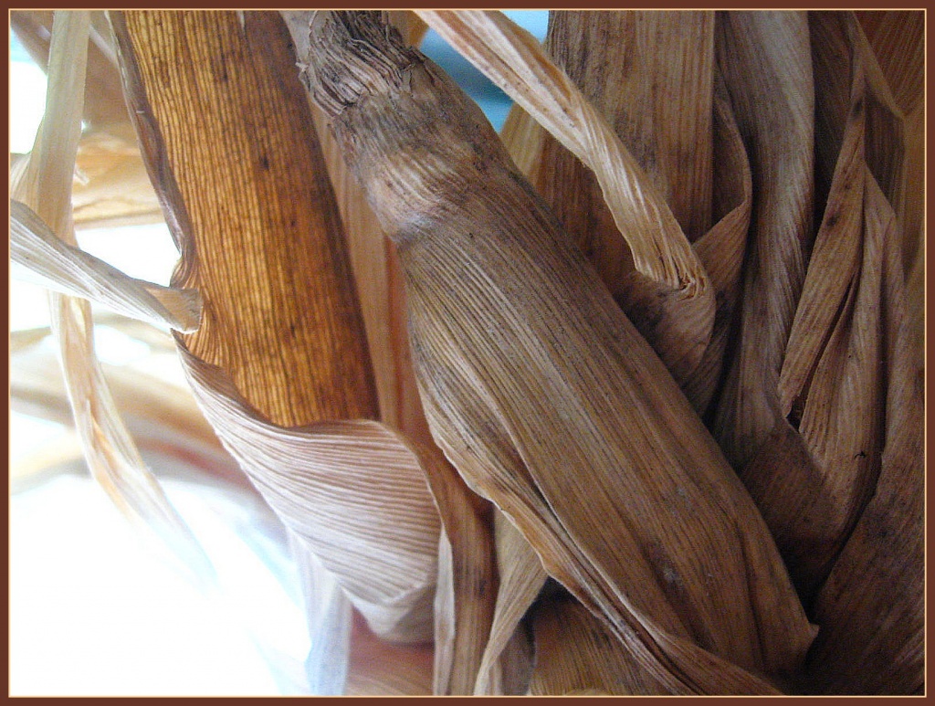 Corn Husk by olivetreeann