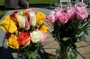 8th Oct 2011 - Birthday Roses