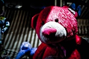 8th Oct 2011 - Bad bear