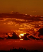 8th Oct 2011 - october sunset by its-only-art