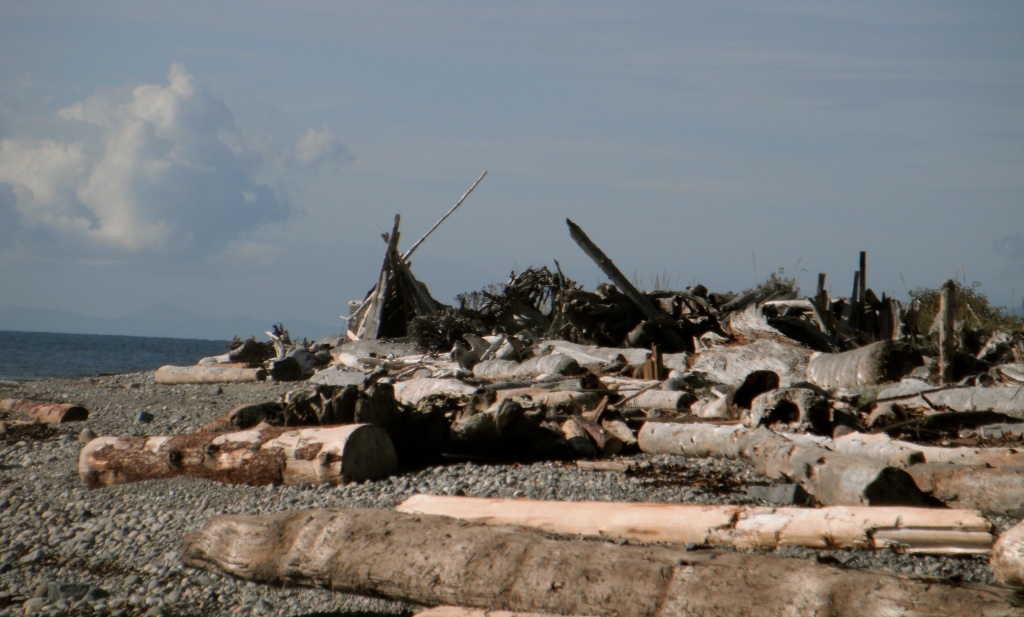 Driftwood Structures by pamelaf